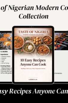 Taste of Nigerian Modern Cooking recipe eBook by LIZZIE. AA