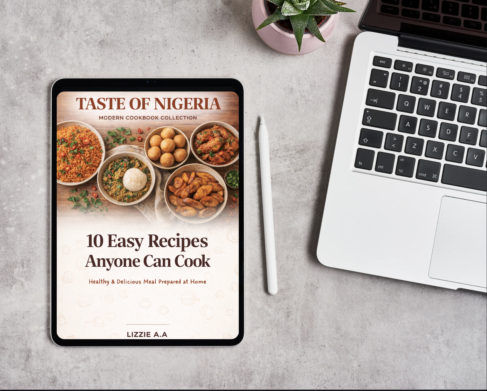 Taste of Nigerian Modern Cooking recipe eBook by LIZZIE. AA